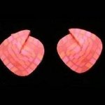 Foldover Earring - Red Check